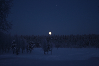 IMG_8818.jpg
