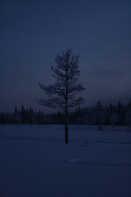 IMG_8819.jpg